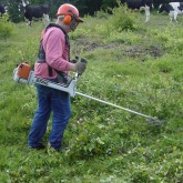 Arbeit mit dem Freischneider