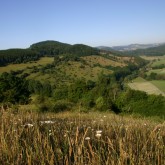 Diemeltal bei Obermarsberg