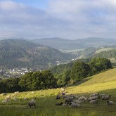Landschaft Naturpark Diemelsee