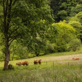 Landschaft Naturpark Diemelsee